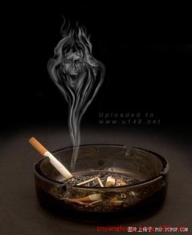 创意拍摄：以香烟变身的视觉艺术 第1张